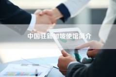 中国驻新加坡使馆简介