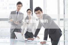 大使馆是干嘛的