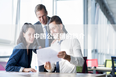 中国公证网的简介
